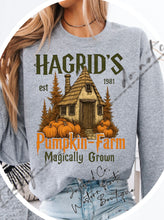 Load image into Gallery viewer, HAGRADS PUMPKIN FARM SWEATSHIRT | ASH GRAY | SPORT GRAY | SAND | FOREST GREEN
