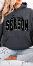 Load image into Gallery viewer, PUMPKIN SEASON SWEATSHIRT | MINT GREEN | ORCHID | DARK HEATHER | WHITE
