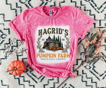 Load image into Gallery viewer, HAGRADS PUMPKIN FARM BLEACHED TEE
