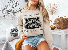 Load image into Gallery viewer, NOT MY TRASH NOT MY DUMPSTER HOODIE/CREW SWEATSHIRT
