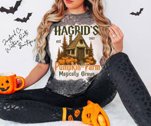 Load image into Gallery viewer, HAGRADS PUMPKIN FARM BLEACHED TEE
