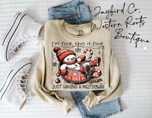 Load image into Gallery viewer, JUST HAVING A MELTDOWN | ASH GRAY | SPORT GRAY | SAND | WHITE
