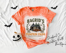 Load image into Gallery viewer, HAGRADS PUMPKIN FARM BLEACHED TEE
