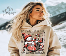 Load image into Gallery viewer, JUST HAVING A MELTDOWN | ASH GRAY | SPORT GRAY | SAND | WHITE
