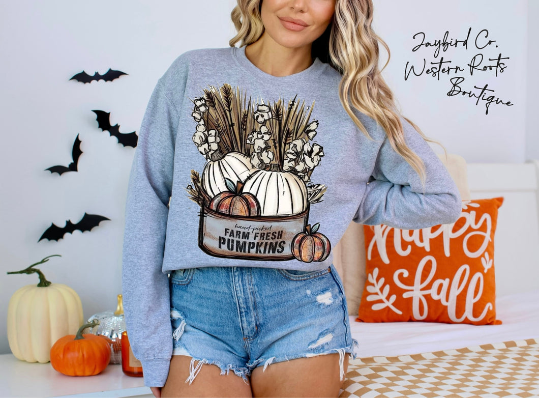 FARM FRESH PUMPKINS | ASH GRAY | SPORT GRAY | SAND | FOREST GREEN