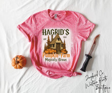 Load image into Gallery viewer, HAGRADS PUMPKIN FARM BLEACHED TEE
