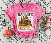 Load image into Gallery viewer, HAGRADS PUMPKIN FARM BLEACHED TEE
