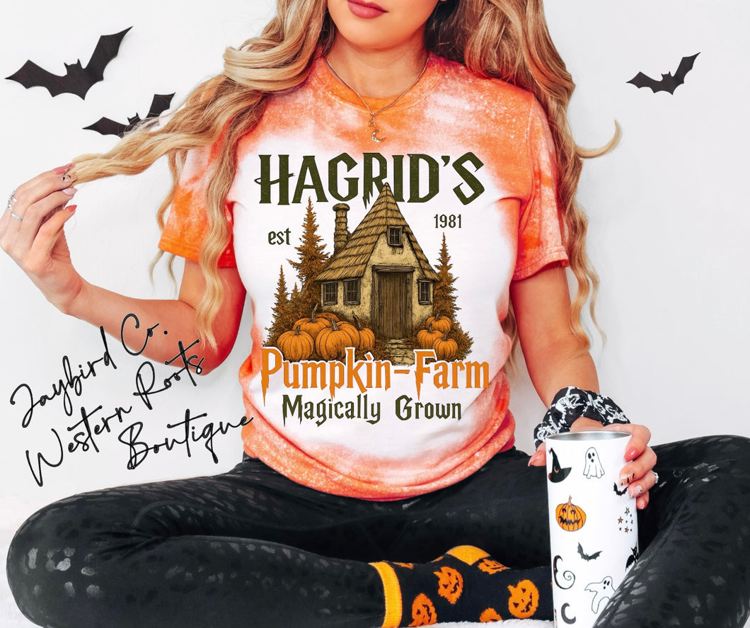 HAGRADS PUMPKIN FARM BLEACHED TEE
